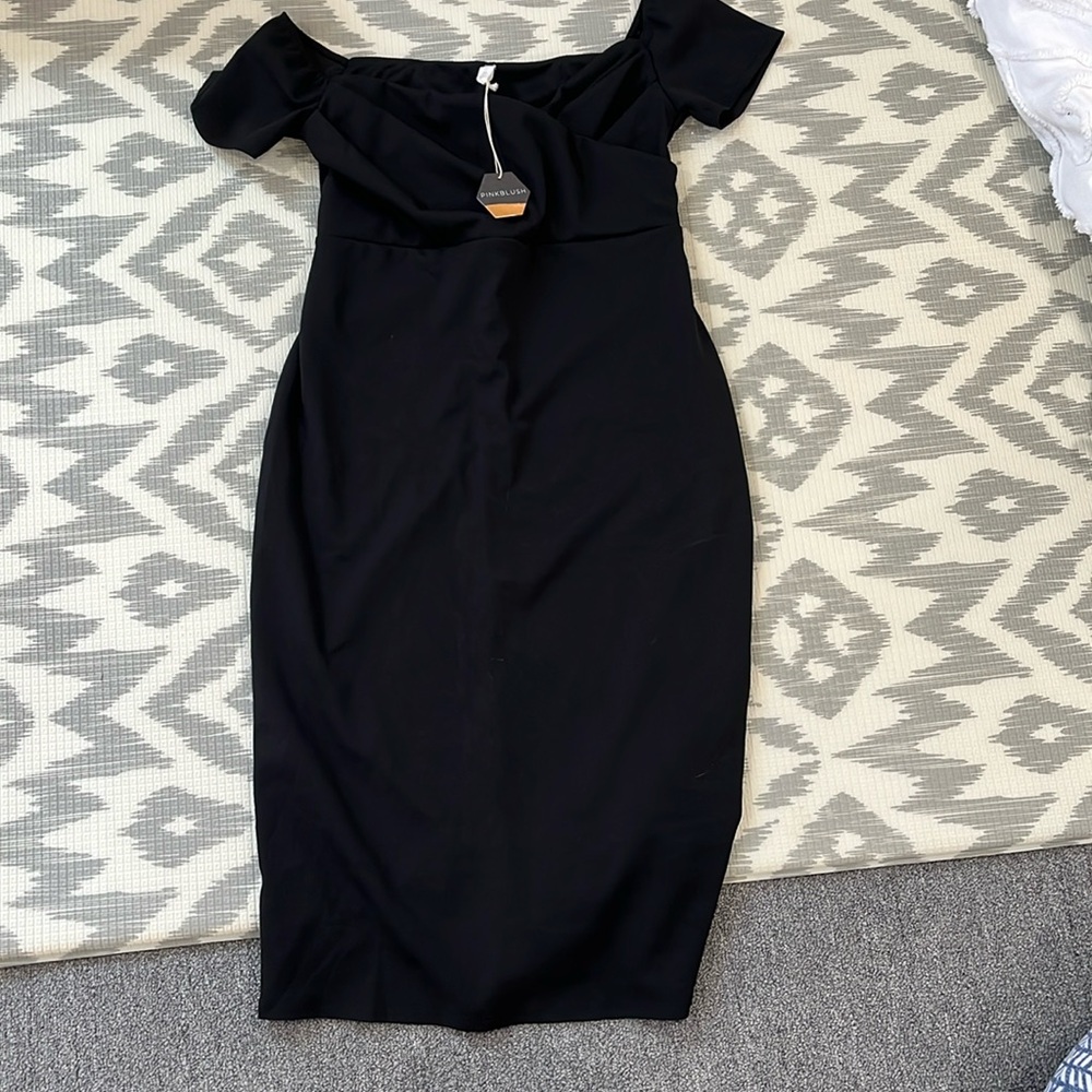 NWT Pinkblush Maternity